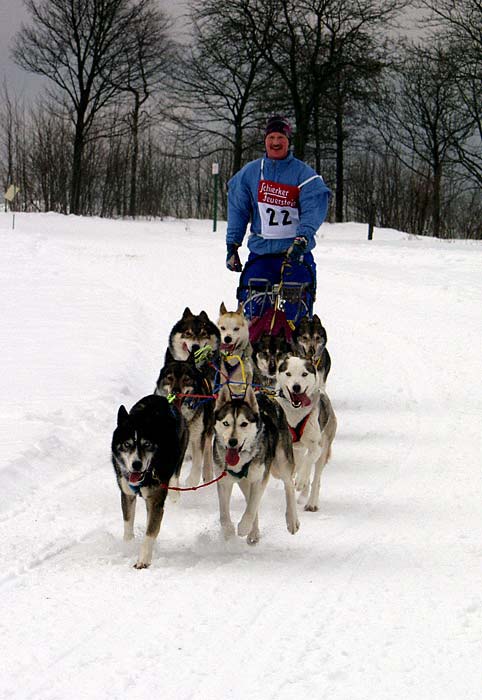 2003 schlittenhunde004.jpg